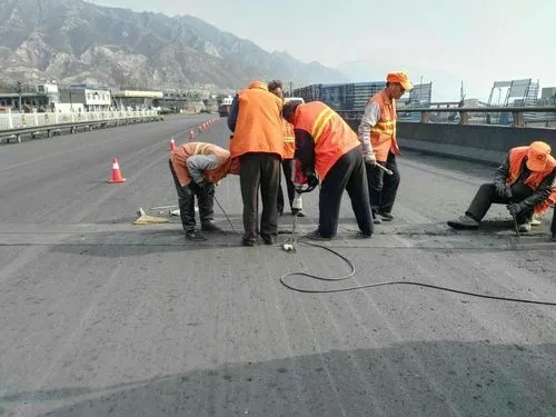 二道道路桥梁病害治理